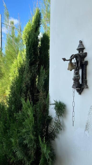 Casa Retro Chique Bananeiras - Cond Yes Banana Villa Bagian luar foto